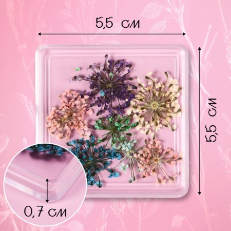 Sudden for nail decor, 6 species, in a case, multi -colored-1