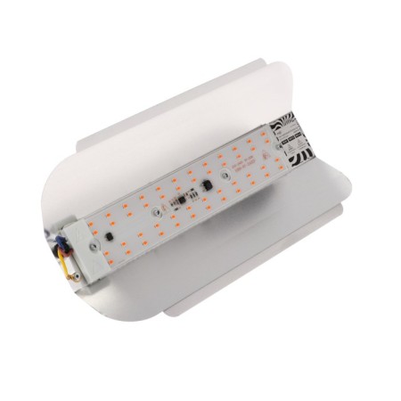 Phytoprotter LED Luazon SDO09-50, 50 W, IP65, 220 V, multi-passer., Bright