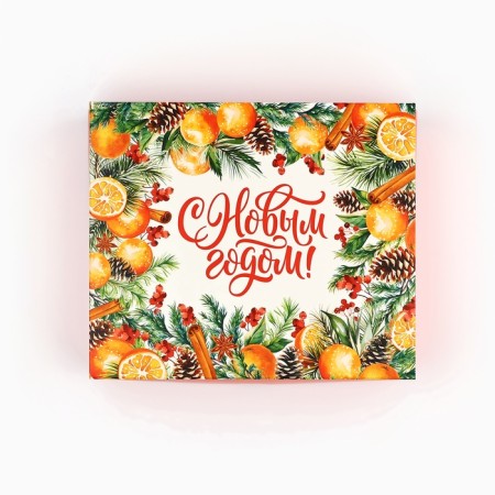 Packaging for confectionery "New Year's Botany", 20 x 17 x 6 cm, New Year-3