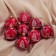 Set of balls plastic D-6 cm, 8 pcs "Olenniki at the Christmas tree" red