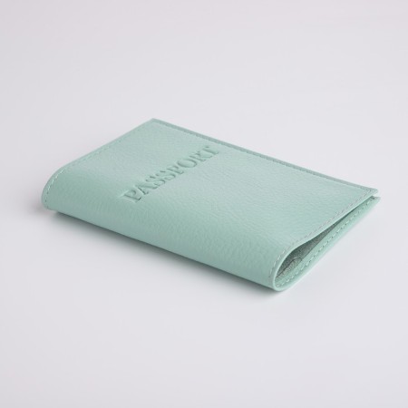 Cover for passport, mint color-2