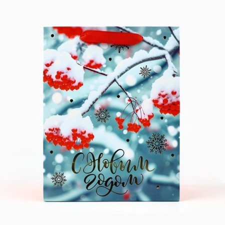 Package Gift New Year Laminated "Rowal", MS 23 x 18 x 10 cm, New Year-1