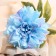 Artificial flowers "Georgin Pigmy" 11x60 cm, blue