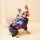 Dogs for dogs on a fur lining with a hood, size M (DS 26, Osh 32, OG 44 cm