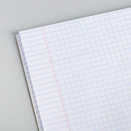 Notebook of 48 sheets in a cage, cardboard cover "Pony", My Little Pony-1
