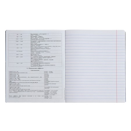 Subject notebook, 48 sheets, ruler, Russian language, Erichkrause "Manga", cardboard cover of Twin-lax, block offset 100%, information block-3