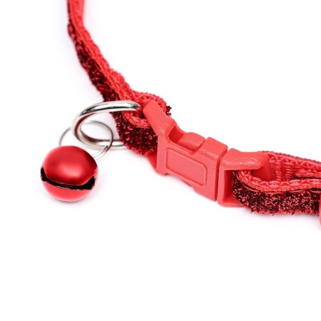 Two -layer collar with Fasteks "Glamur" 30 x 1 cm, red-2