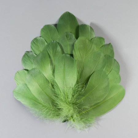 A set of feathers of the goose 13-18 cm, 20 pcs, army green-1