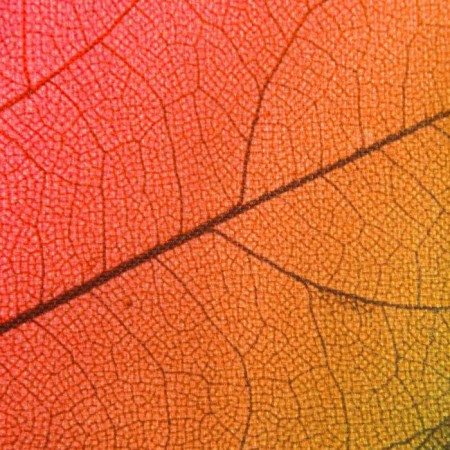 Napkin on the table "Autumn leaves" 30x40 cm-2