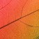 Napkin on the table "Autumn leaves" 30x40 cm