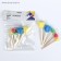 Set of brushes - sponge, 5 pieces