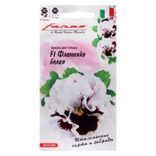 Viola Flower Flower Flamenko, F1, 7 pcs.