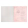 Subject subject calligrata "animal memes", 36 sheets in the algebra cage, with reference material, covered paper cover, block No. 2 (gray sheets)