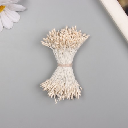Stamens for artificial flowers gloss "risinki" rice set 360 pcs length 6 cm