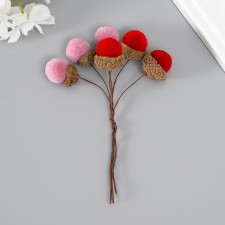 Flowers for decorating 