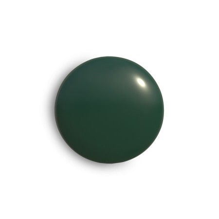 Aerosol paint enamel green moss 520ml Coralino Ral6005-3