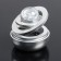 Assessoir on a panel with a flavor, gravitational rings, rotates from the sun, planet, silver