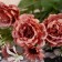 Bouquet "Rose Multiciper" 5x27 cm, mix