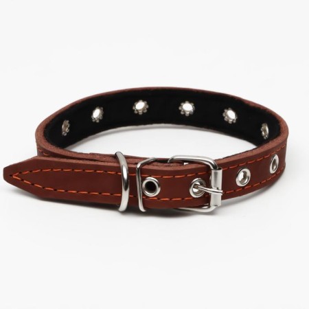 Leather collar on synthetic winterizer, dimensionless, 45 x 2 cm, Osh 18-39 cm, brown-1