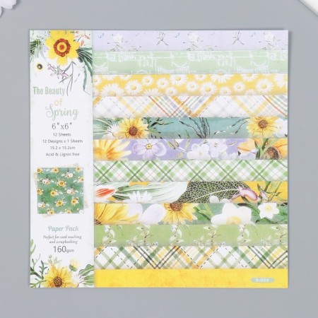 A set of scrapbooking paper 12 sheets 12 designs "Beauty Spring" 160 grams 15.2x15.2 cm-4