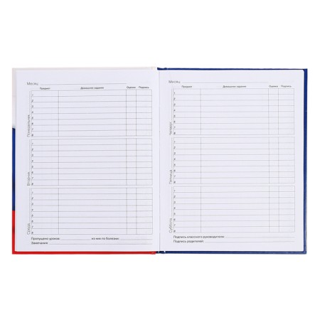 Diary for grades 5-11, 48 sheets of "Russian schoolchild No. 4", hard cover, glossy lamination, block 60 g/m2-8