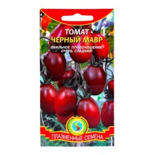 Tomato Black Moor (mid -season semi -determinant “cystic” variety with very tasty fruits)