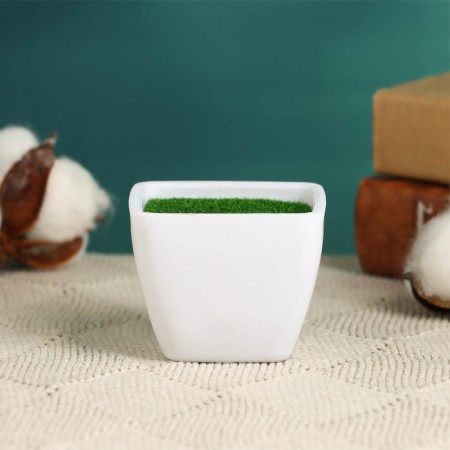 Floristic Kashpo "Axel" white, 5.5x5x4.5 cm-1