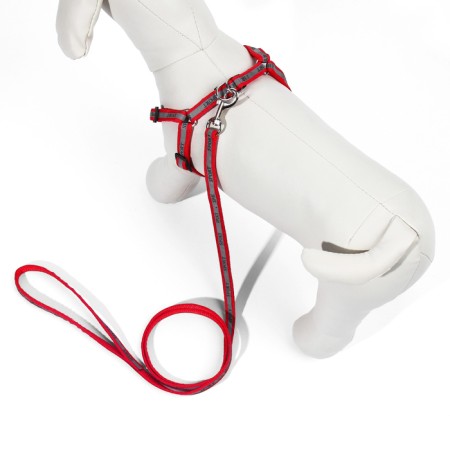 Sports set a reflective, leash 120 x 1 cm, fire 23-35 cm, red-2