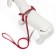 Sports set a reflective, leash 120 x 1 cm, fire 23-35 cm, red