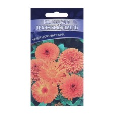 Calendula flowers 