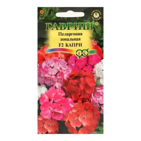Seeds of indoor flowers Pelargonium "Capri", F2, 4 pcs.-4