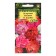 Seeds of indoor flowers Pelargonium "Capri", F2, 4 pcs.