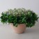 Kashpo for flowers "cone" 53x53x29 cm, 24 l, color sand granite