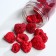 Berry sublimated "raspberries" for cupcakes and chocolate, 8 g.