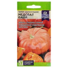 Seeds of pumpkin 