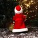 Santa Claus "with a decorated staff and bag" moves, with backlight, 30x16 cm, red