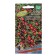 Cranberry seeds "Ben Lear", 0.05 g