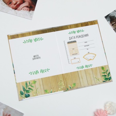 Folder for birth certificate "Misha", A5-7
