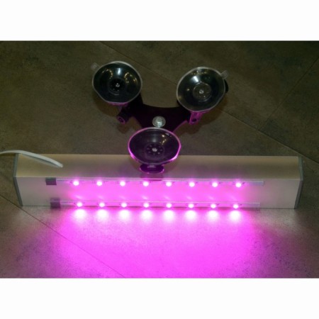 Phytoslight for the windowsill on the titanic suction cup "Bothein" 48W-4