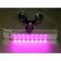 Phytoslight for the windowsill on the titanic suction cup "Bothein" 48W
