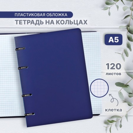 Notebook on rings A5 120 sheets in the Calligrata cage blue, plastic cover, OFSET block