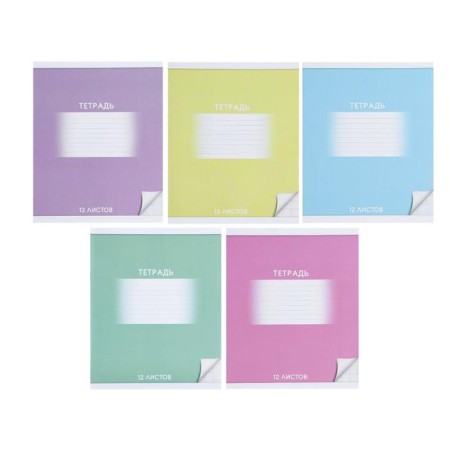 Notebook of 12 sheets in the large Calligrata "School", cover shaking cardboard, VD-LK, OFSET BOLK, Beliece 95%, MIX