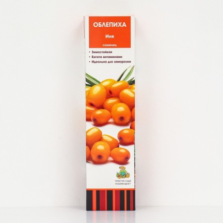Sea buckthorn "Inya", 1 pc, tube, spring 2025
