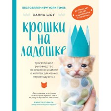 Crumbs on the palm of your hand. Touching guide to save and care for kittens for the most caring