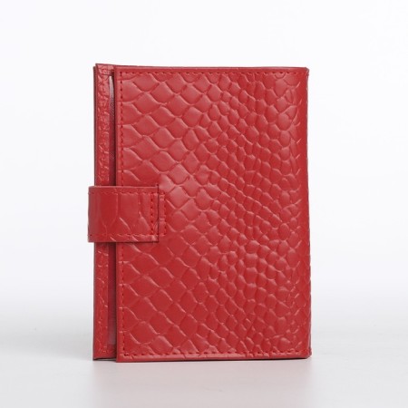 Cover for autoDocations and passports, red color-1