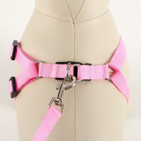 Set "Basis", leash 120 x 1.5 cm, OG 32-46 cm, pink-1