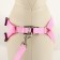 Set "Basis", leash 120 x 1.5 cm, OG 32-46 cm, pink
