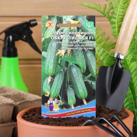 Seeds of cucumber "Obhrost" F1, early -ripe, parthenocarpic, 10 pcs-3