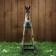 Souvenir tree "Horse rocking" 45x12x45 cm
