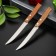 Set of kitchen knives for meat Tramontina TradeCional, 2 pcs, blade 12.7 cm